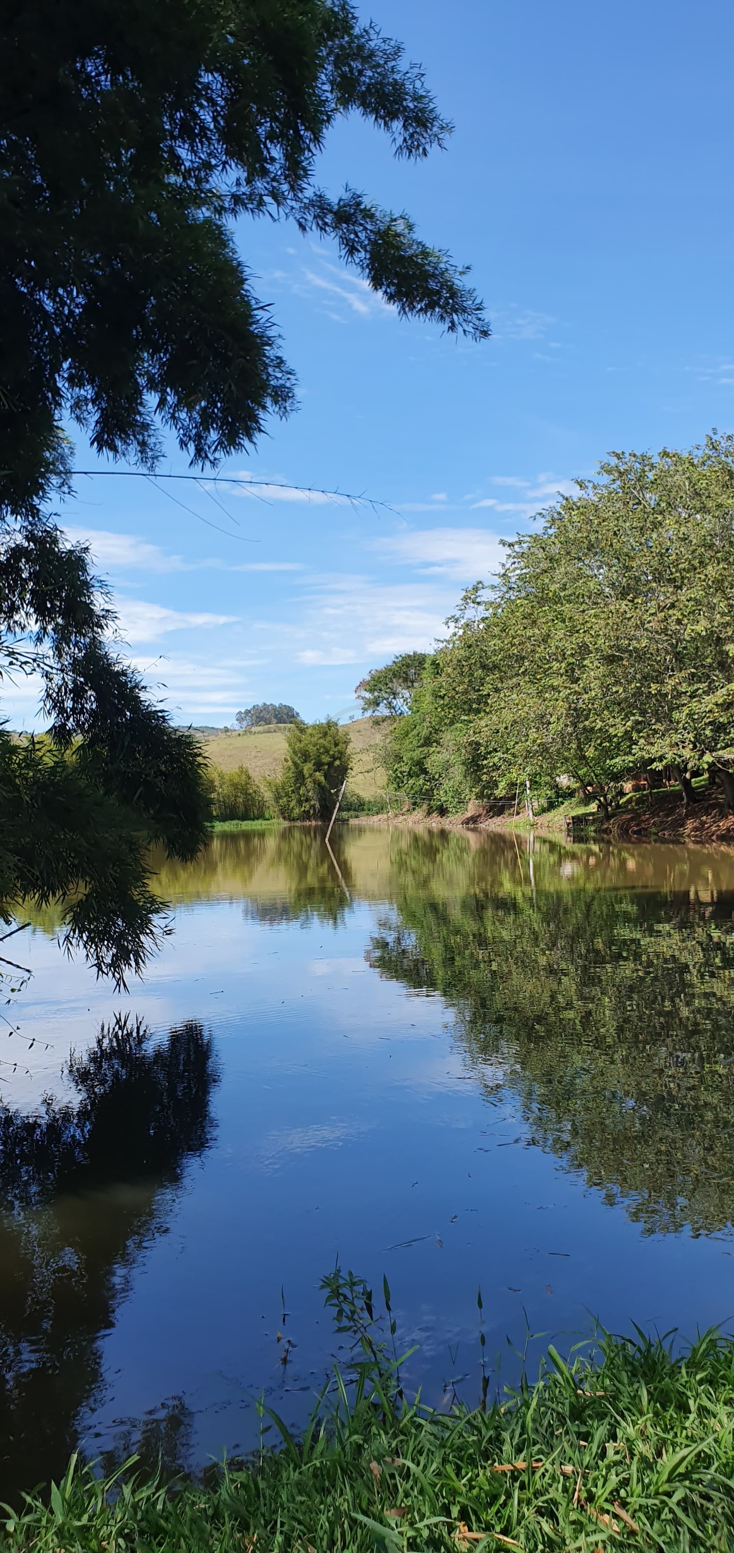 Sítio, 5 quartos, 150 m² - Foto 28