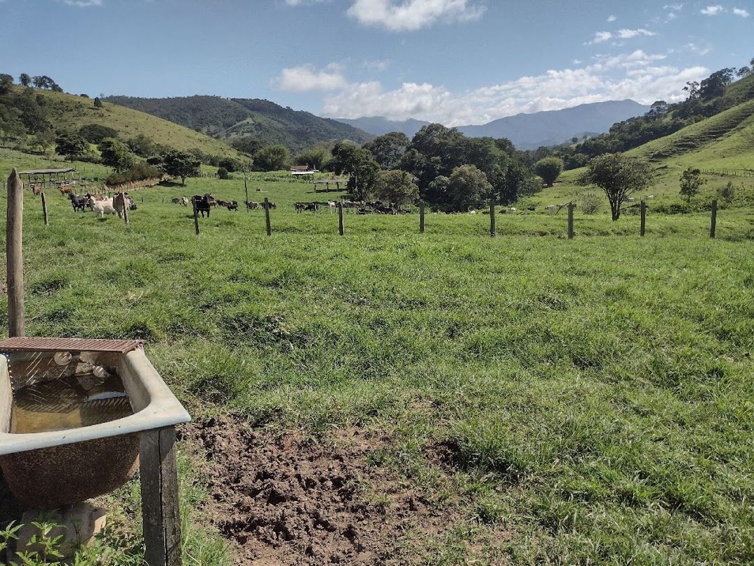 Fazenda-Sítio-Chácara, 194 hectares - Foto 14