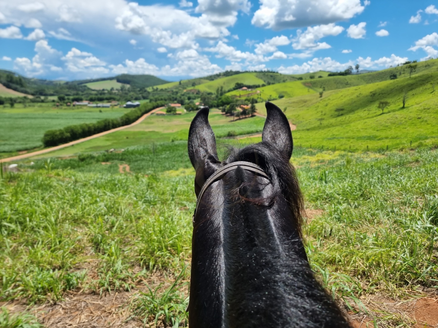 Sítio, 5 quartos, 150 m² - Foto 33