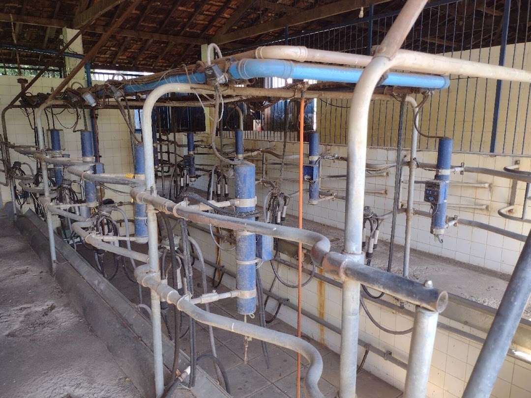 Fazenda-Sítio-Chácara, 194 hectares - Foto 11