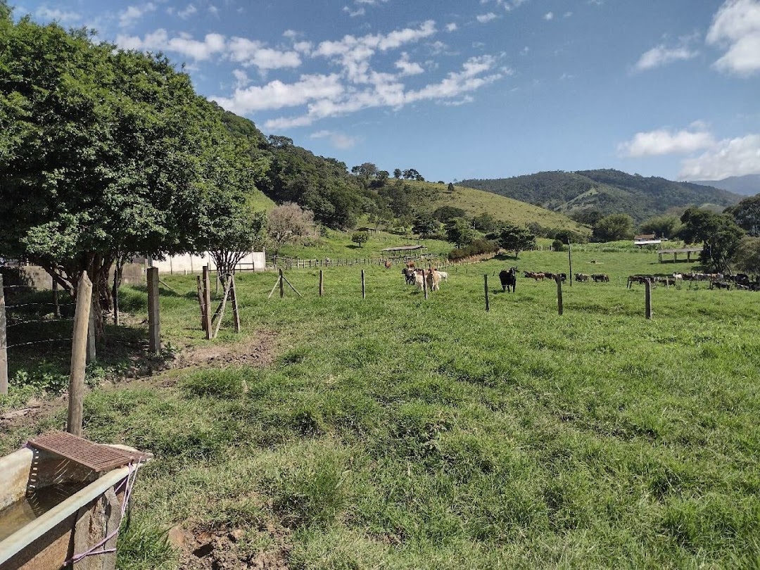 Fazenda-Sítio-Chácara, 194 hectares - Foto 13