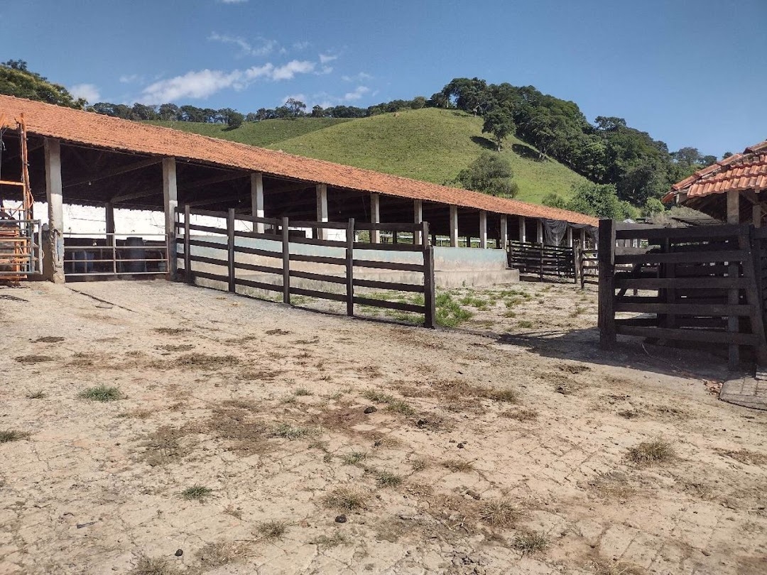 Fazenda-Sítio-Chácara, 194 hectares - Foto 16