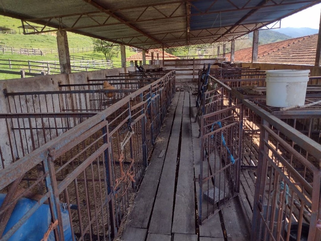 Fazenda-Sítio-Chácara, 194 hectares - Foto 9