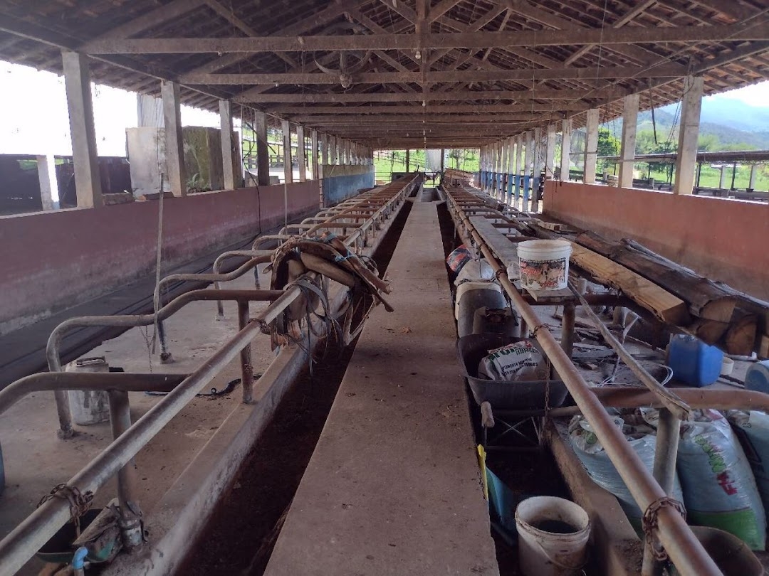Fazenda-Sítio-Chácara, 194 hectares - Foto 10
