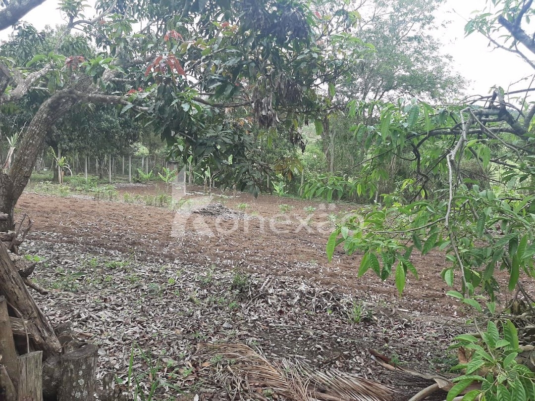 Chácara em Paraibuna/São Paulo — Ref I6XN5H — Imagem 13