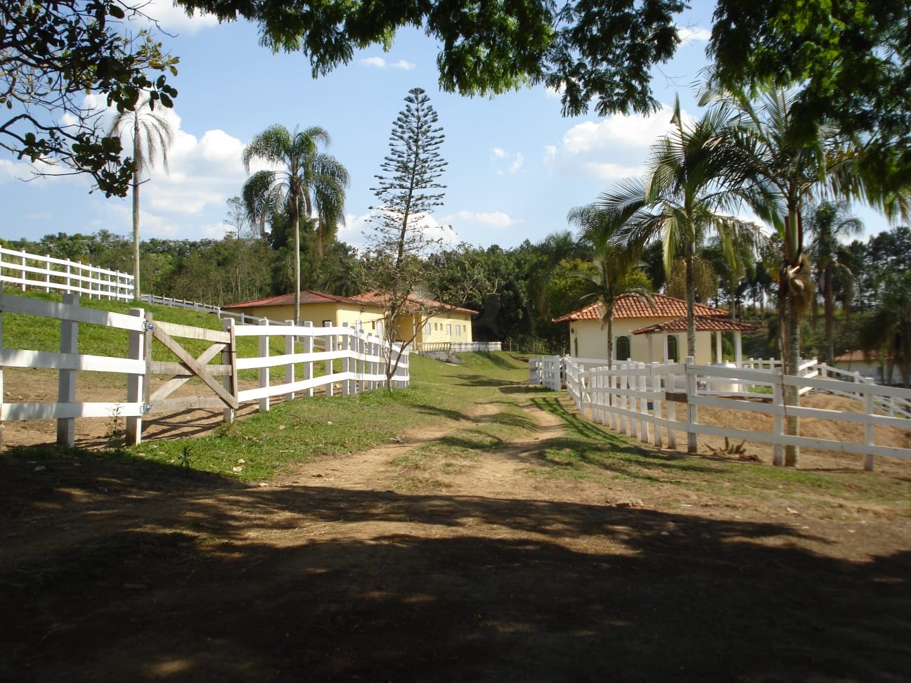 Fazenda, 800 m² - Foto 3