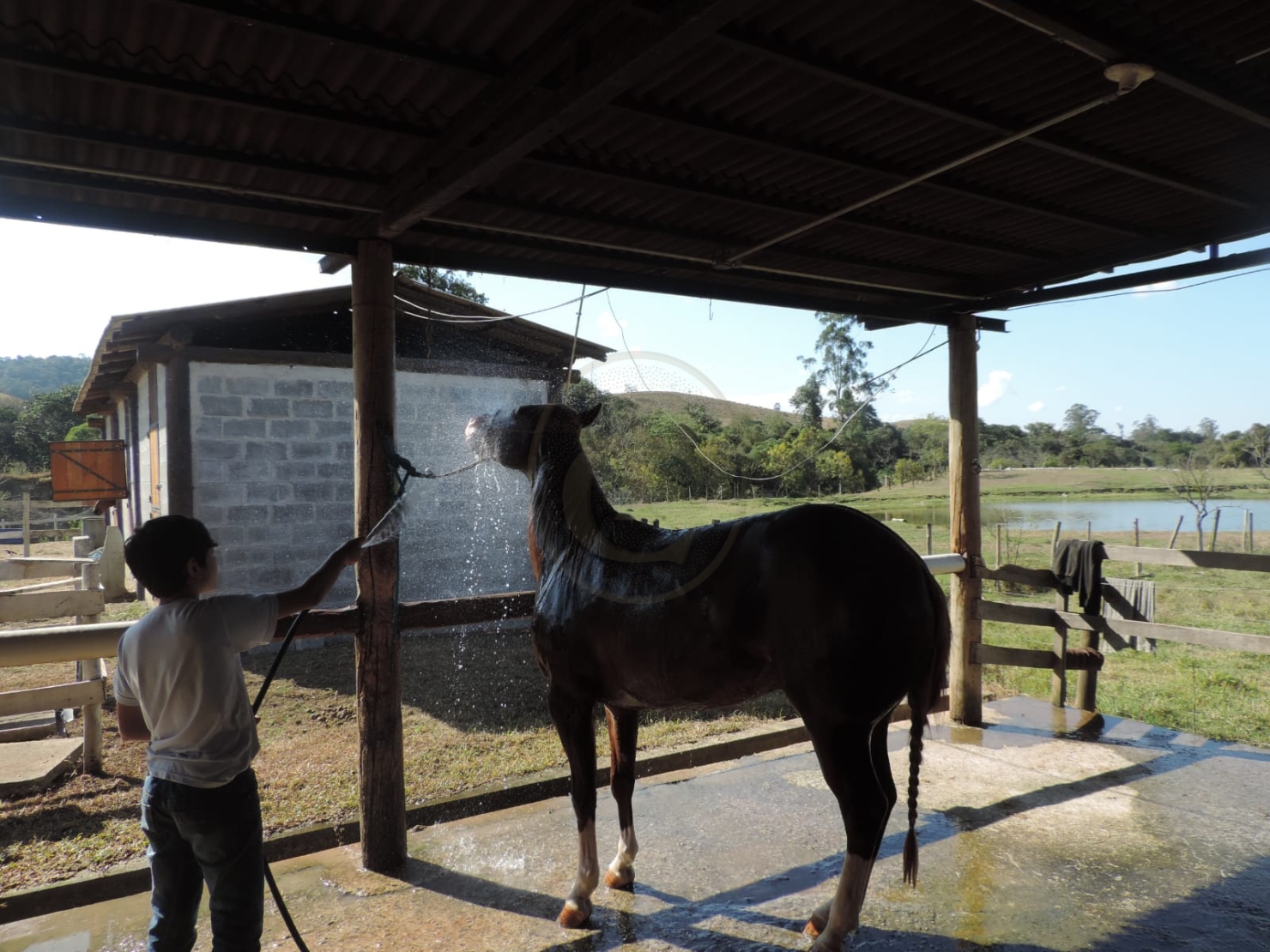 Haras em Jacareí/São Paulo — Ref P9N0VK — Imagem 9