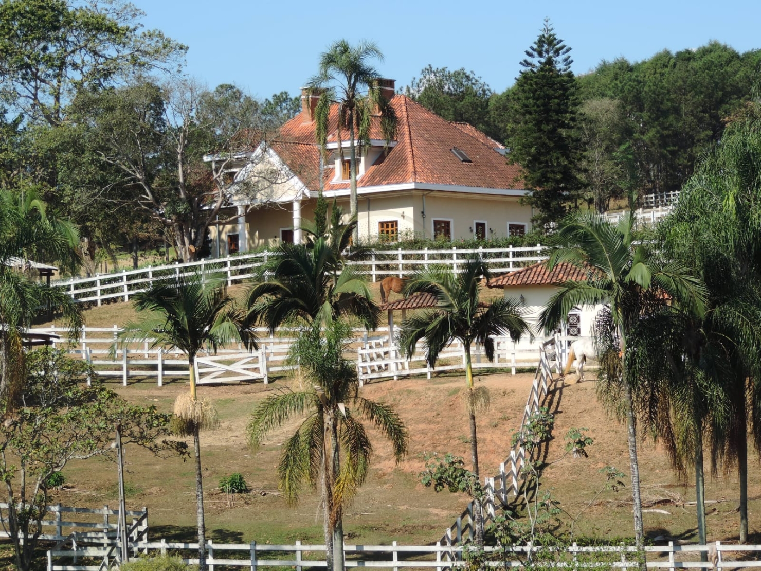 Haras em Jacareí/São Paulo — Ref P9N0VK — Imagem 12
