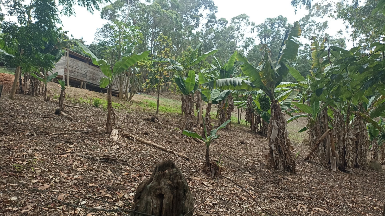 Chácara em Paraibuna/São Paulo — Ref WWVGNA — Imagem 30