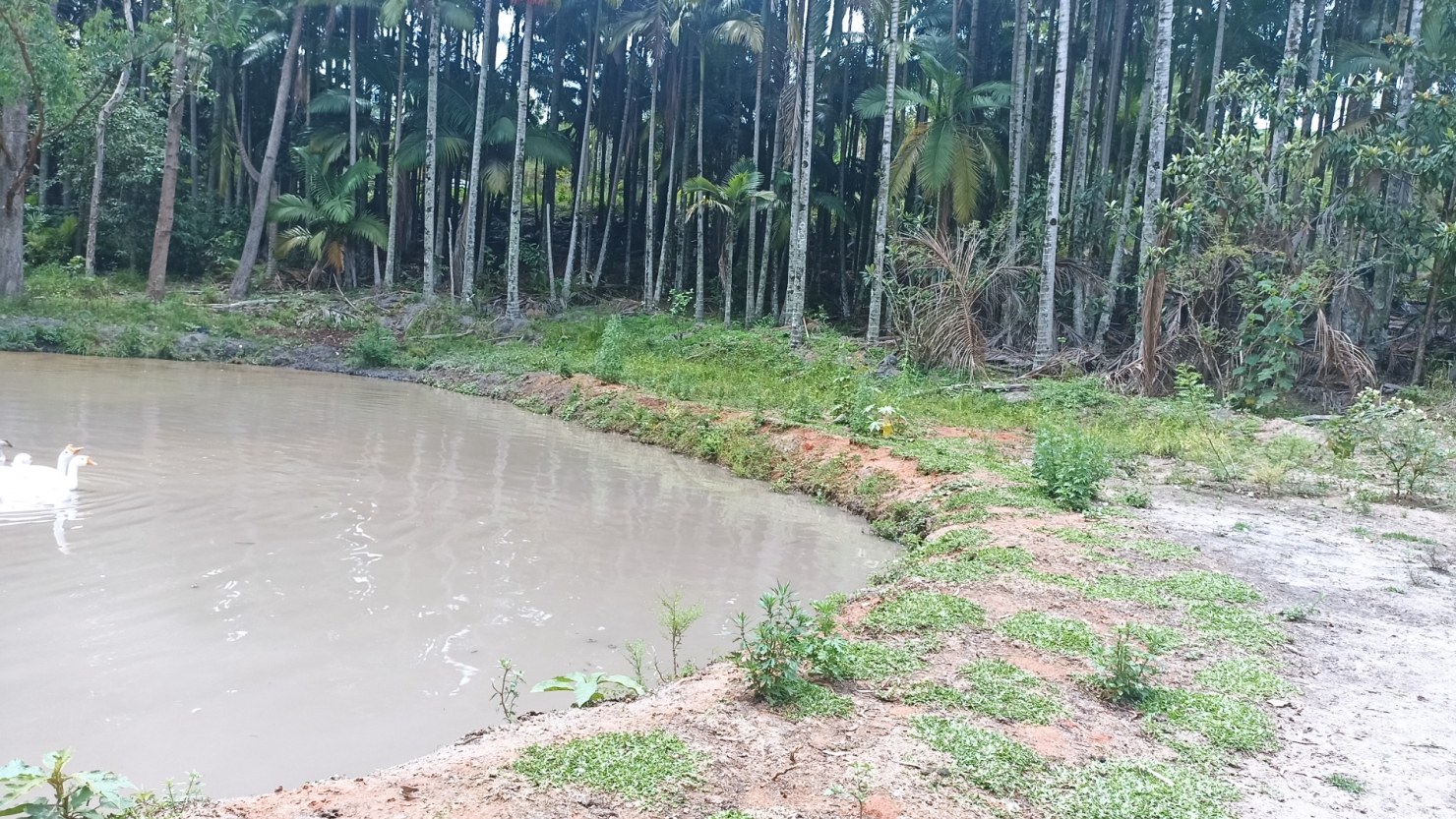 Chácara em Paraibuna/São Paulo — Ref WWVGNA — Imagem 33