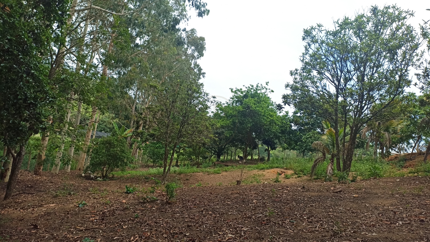 Chácara em Paraibuna/São Paulo — Ref WWVGNA — Imagem 34