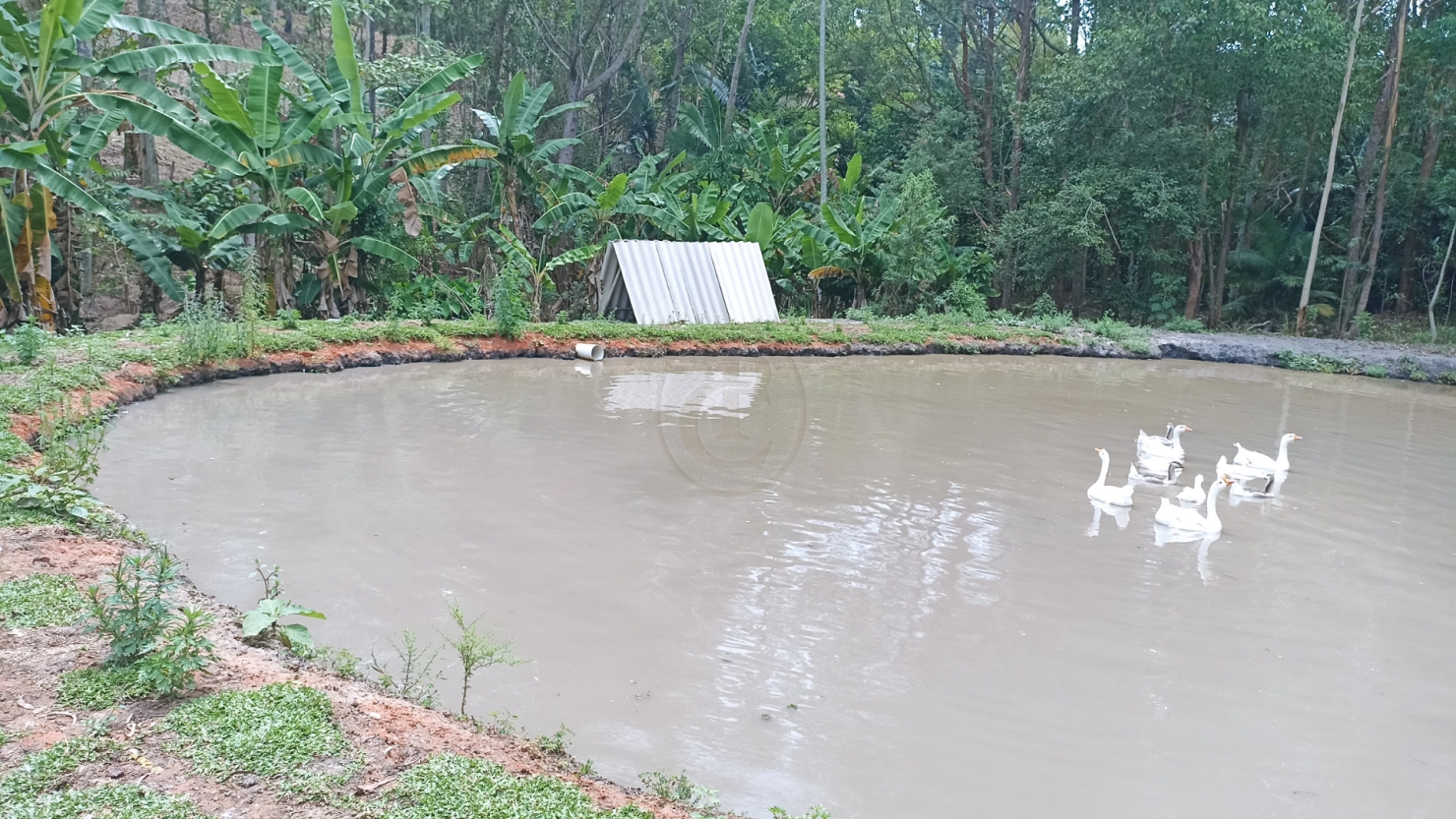 Chácara em Paraibuna/São Paulo — Ref WWVGNA — Imagem 36