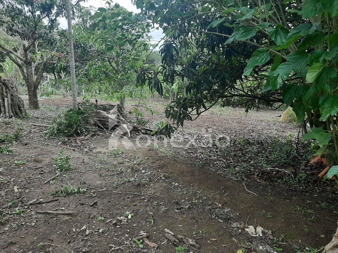 Chácara em Paraibuna/São Paulo — Ref I6XN5H — Imagem 14