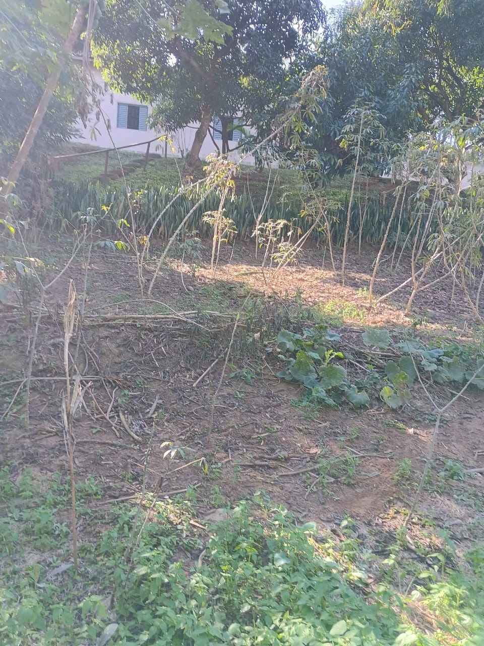 Chácara, 3 quartos, 300 m² - Foto 1