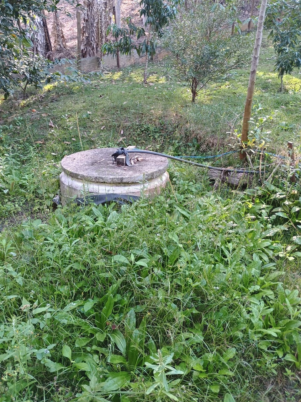 Chácara, 3 quartos, 300 m² - Foto 2