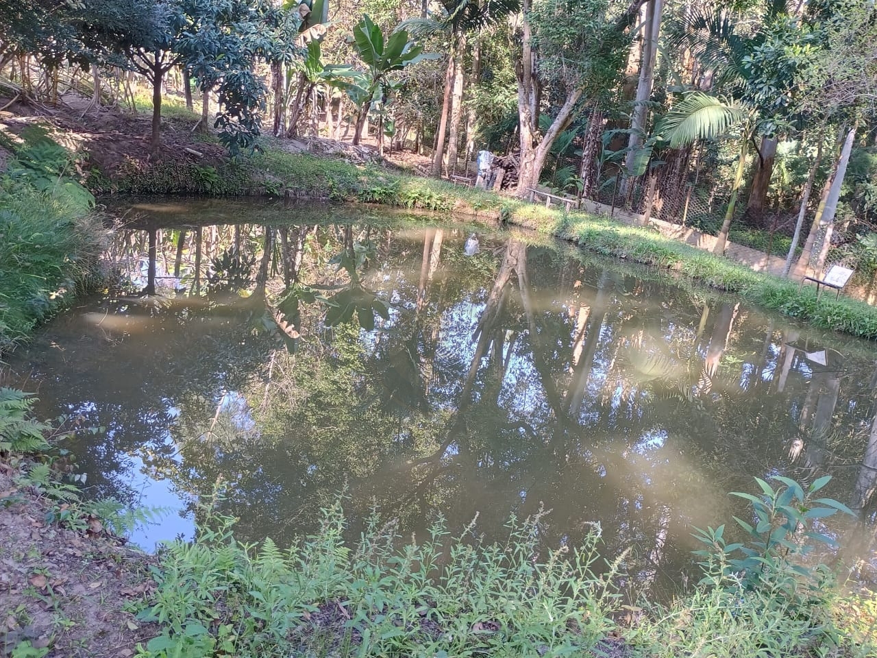 Chácara, 3 quartos, 300 m² - Foto 4