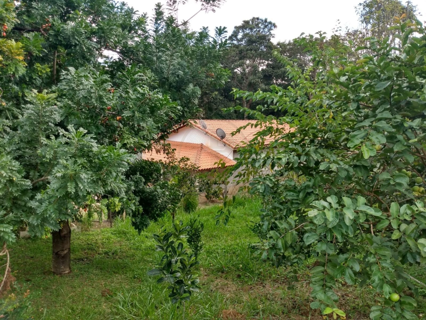 Chácara, 3 quartos, 200 m² - Foto 2