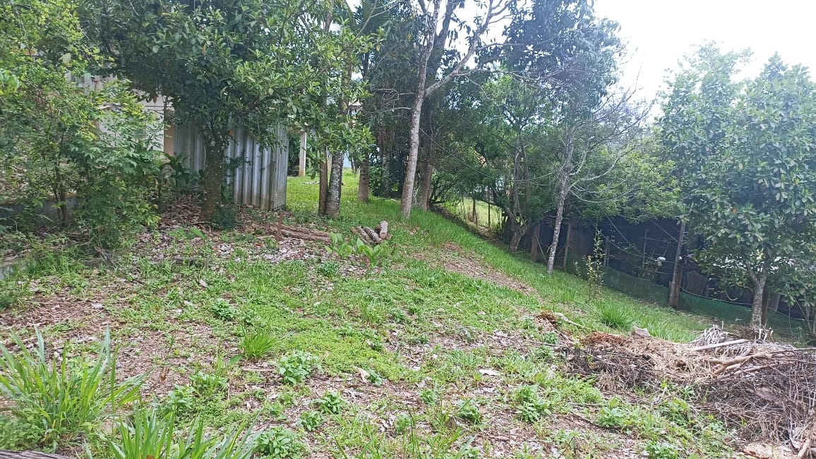 Chácara, 2 quartos, 100 m² - Foto 10