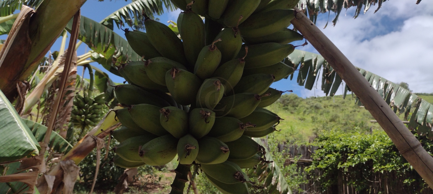 Terreno, 5 m² - Foto 8