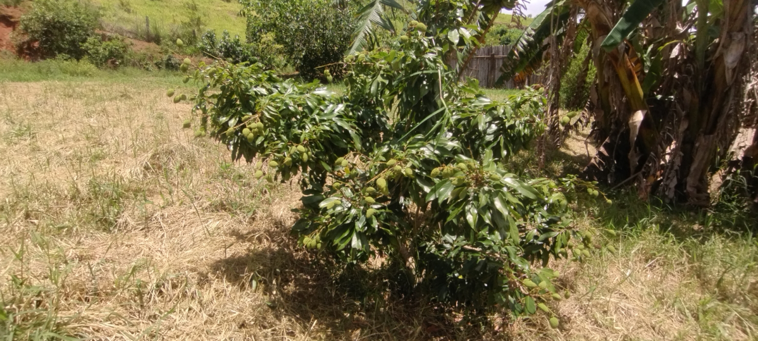 Terreno, 5 m² - Foto 1