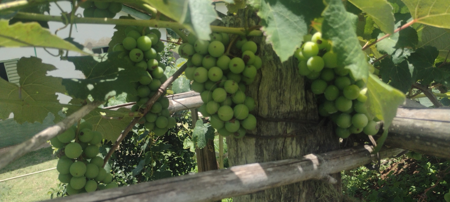 Terreno, 5 m² - Foto 4