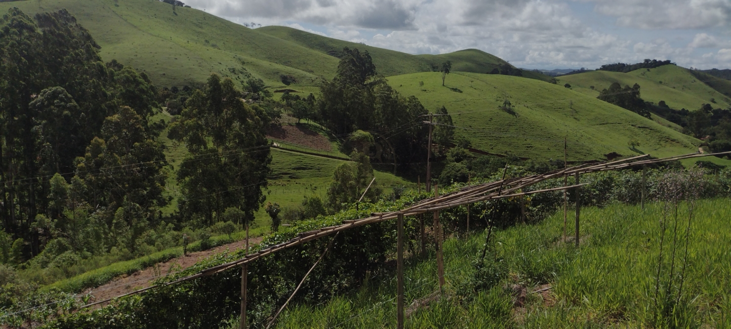 Terreno, 5 m² - Foto 6