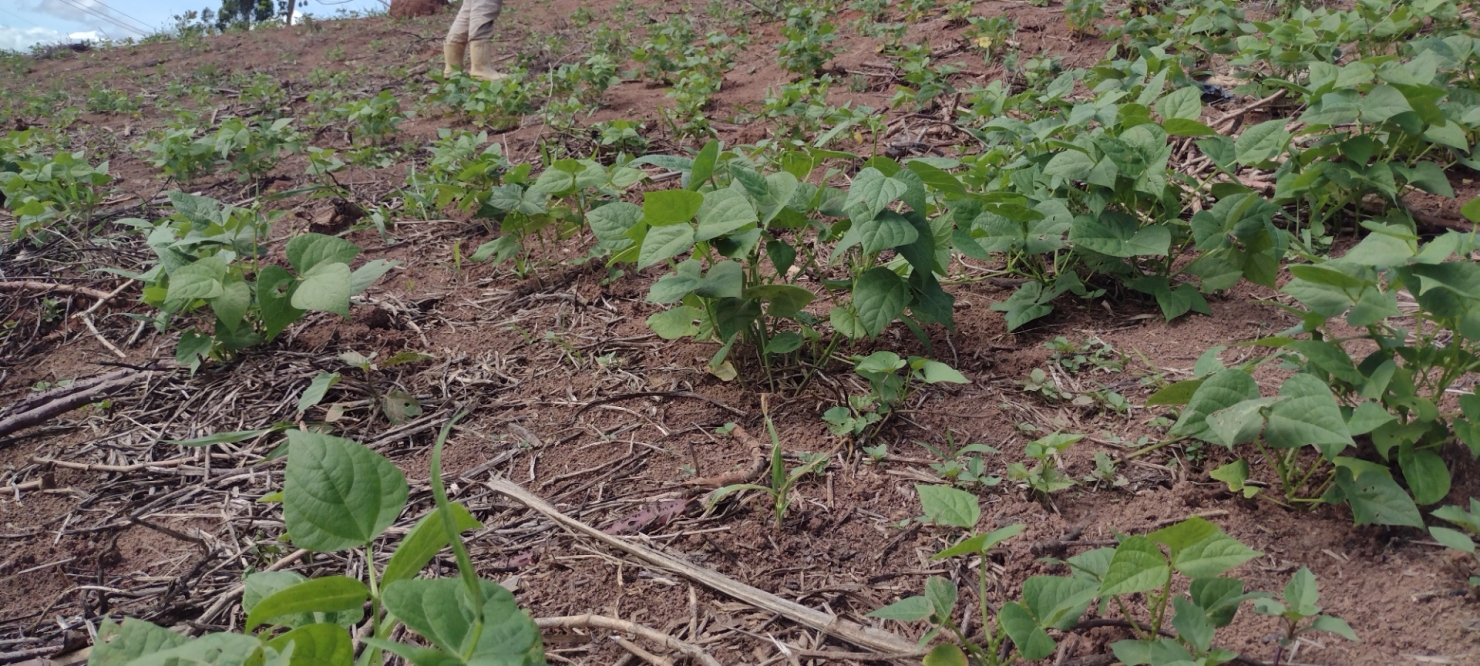 Terreno, 5 m² - Foto 7