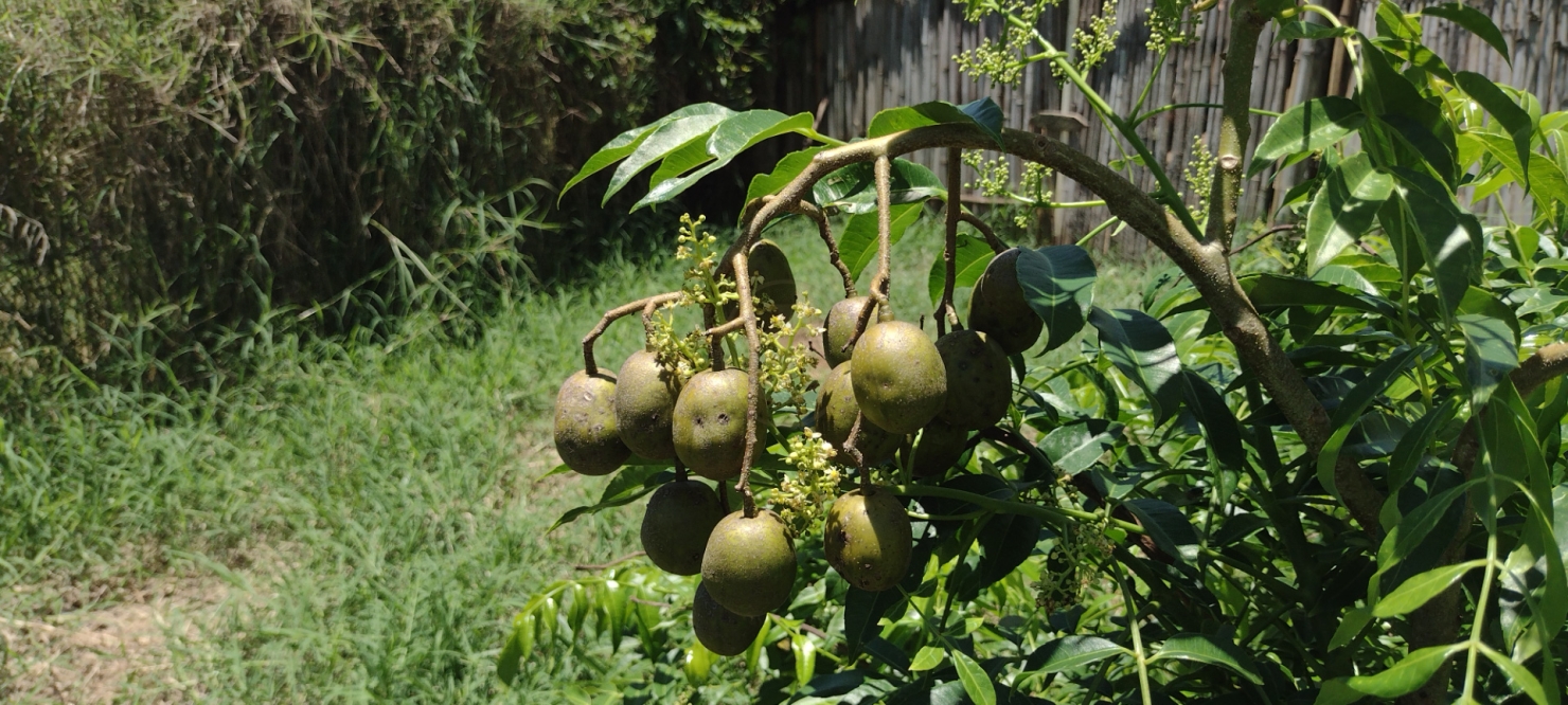 Terreno, 5 m² - Foto 9