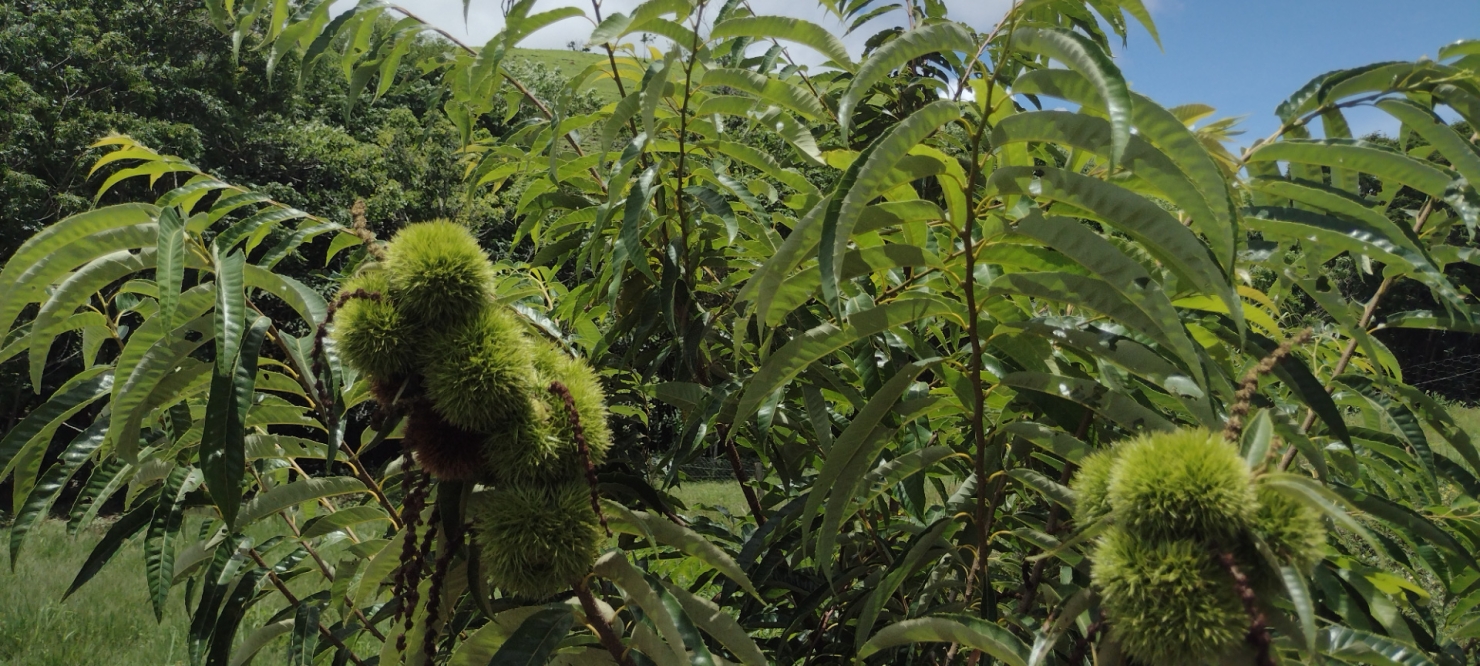 Terreno, 5 m² - Foto 15