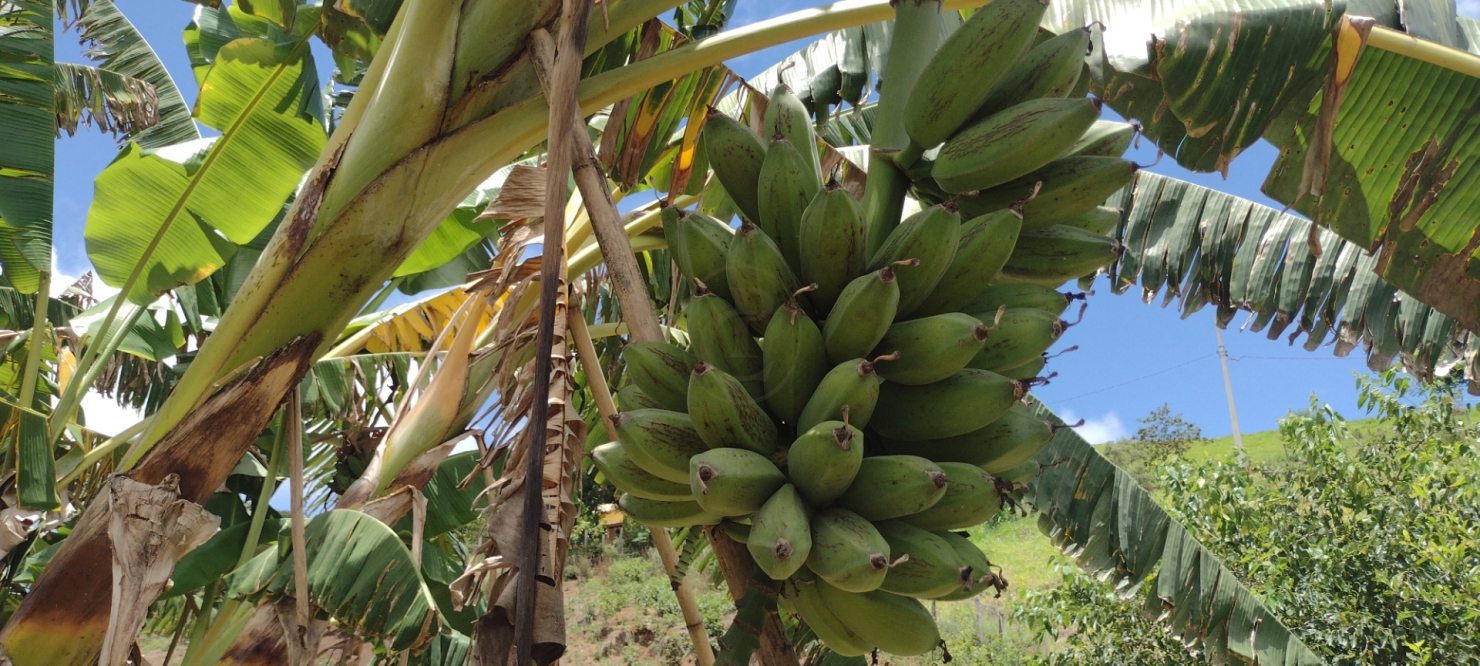 Terreno, 5 m² - Foto 16