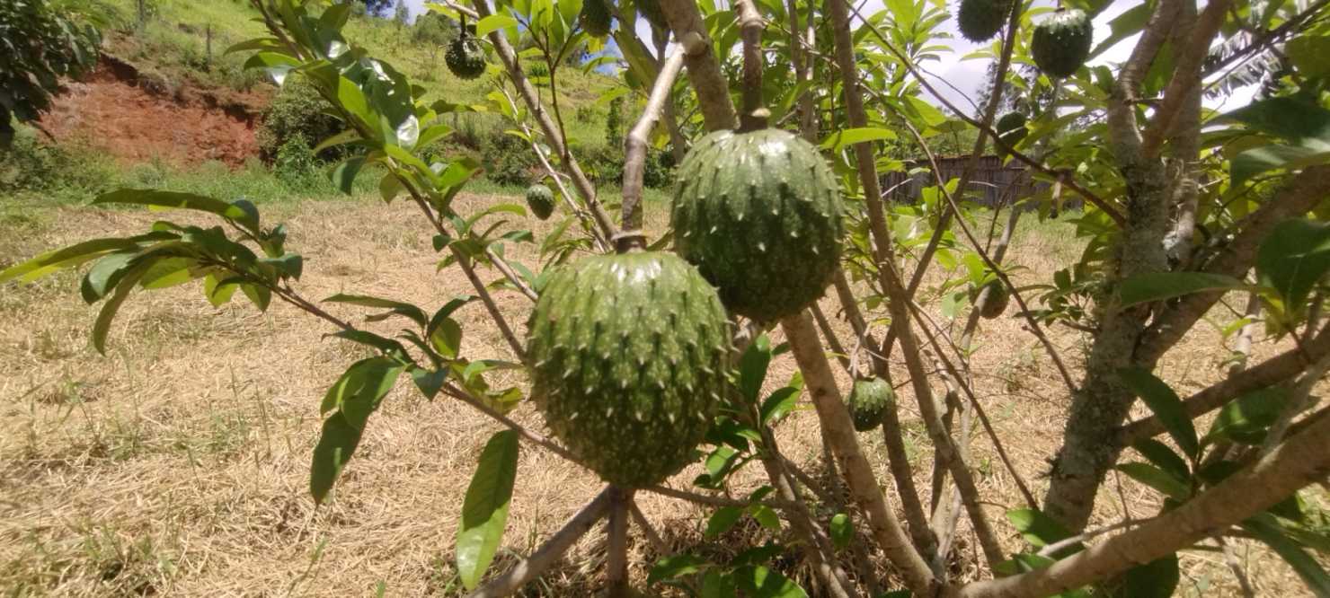 Terreno, 5 m² - Foto 17