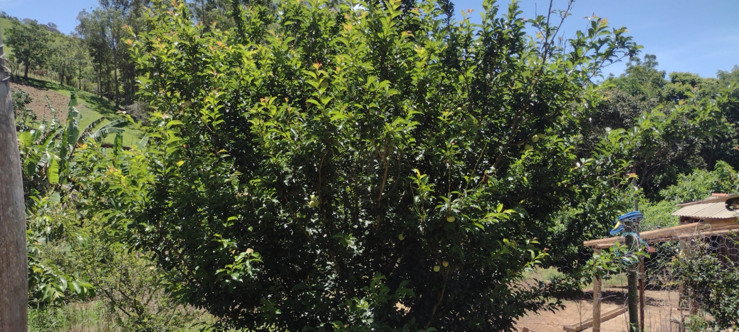 Terreno, 5 m² - Foto 21