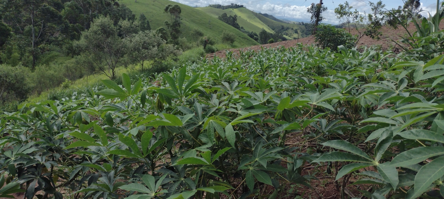 Terreno, 5 m² - Foto 22