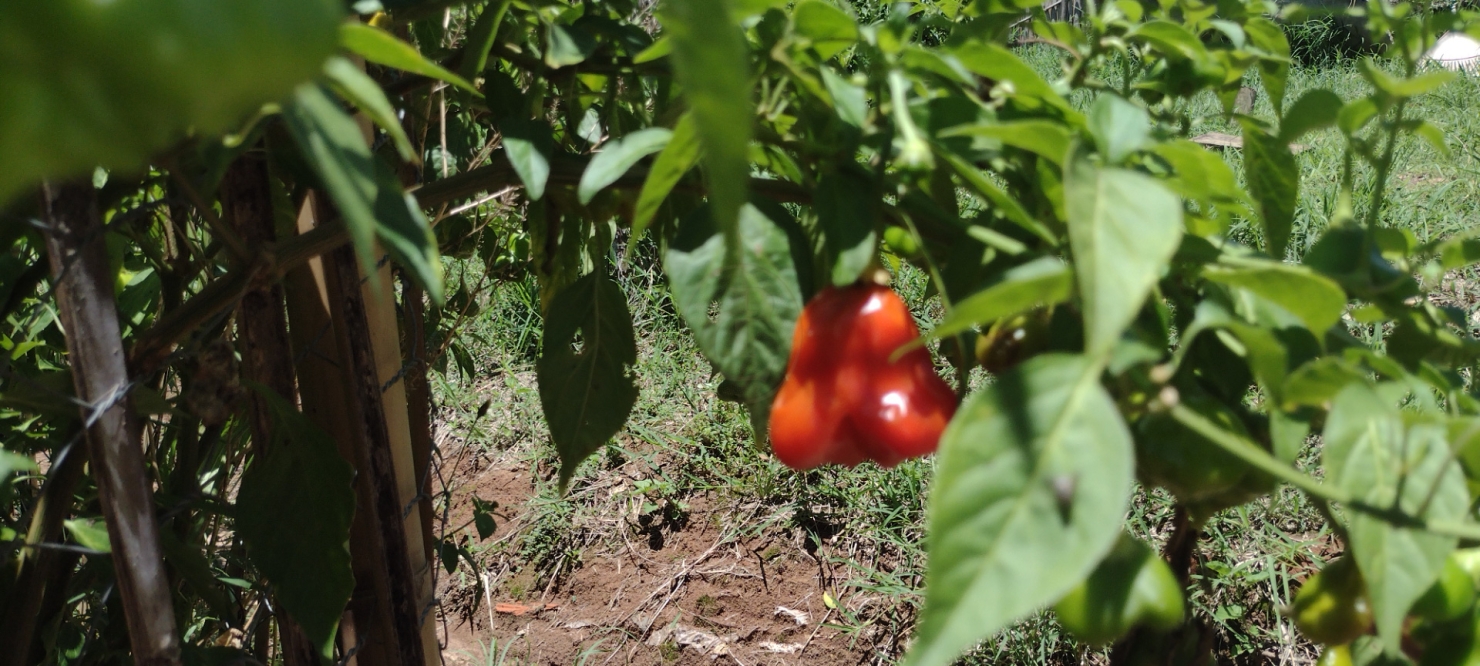 Terreno, 5 m² - Foto 25