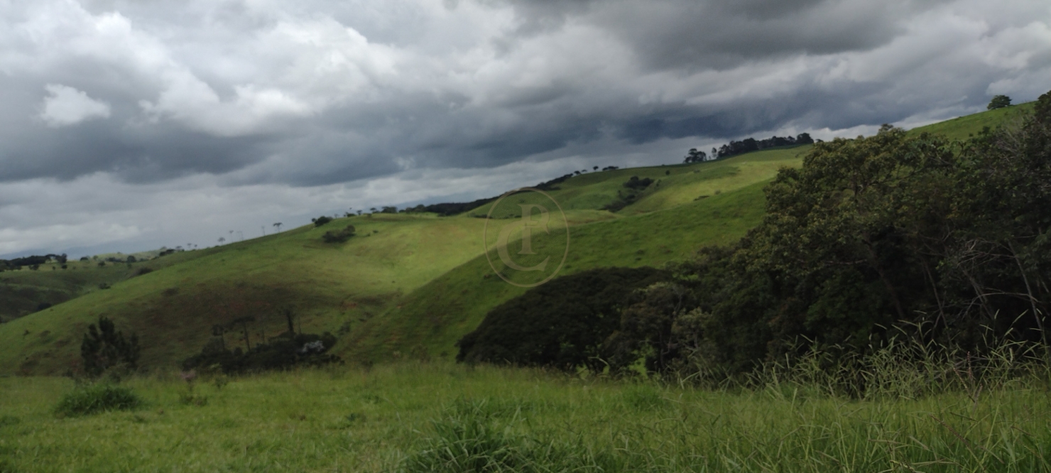 Sítio, 3 quartos, 120 m² - Foto 2