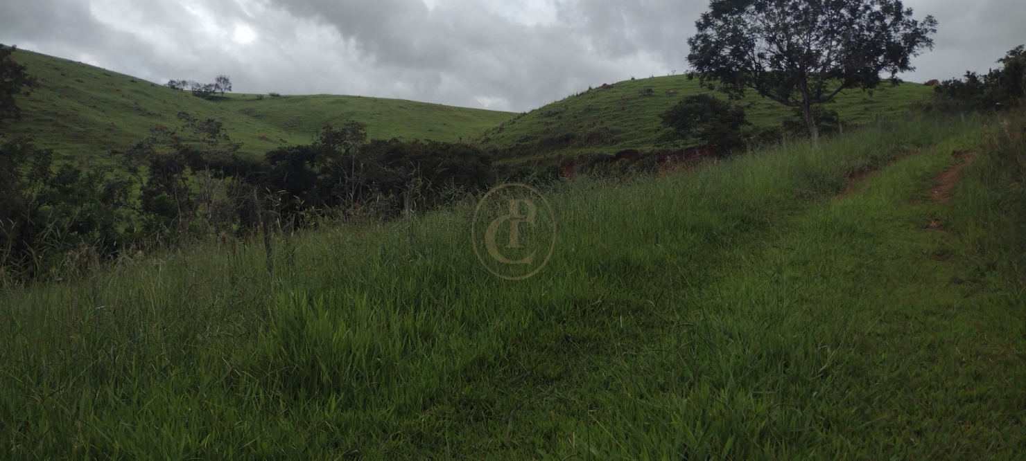 Sítio, 3 quartos, 120 m² - Foto 3