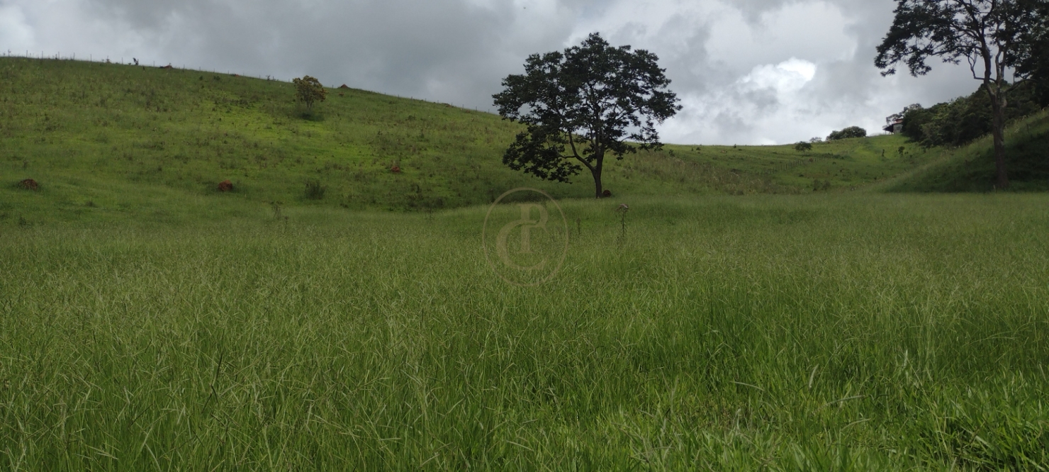 Sítio, 3 quartos, 120 m² - Foto 4