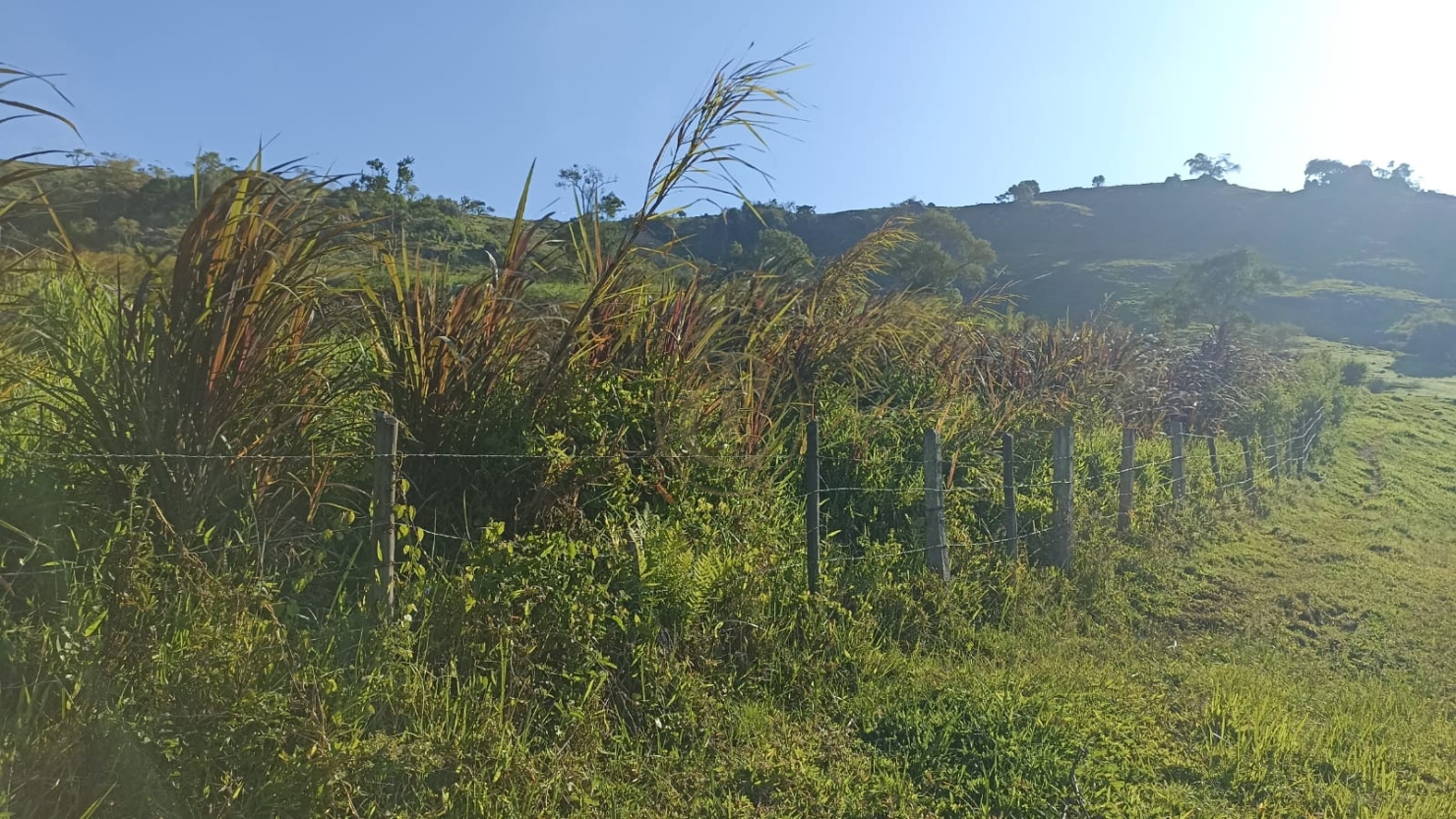 Fazenda, 100 m² - Foto 5