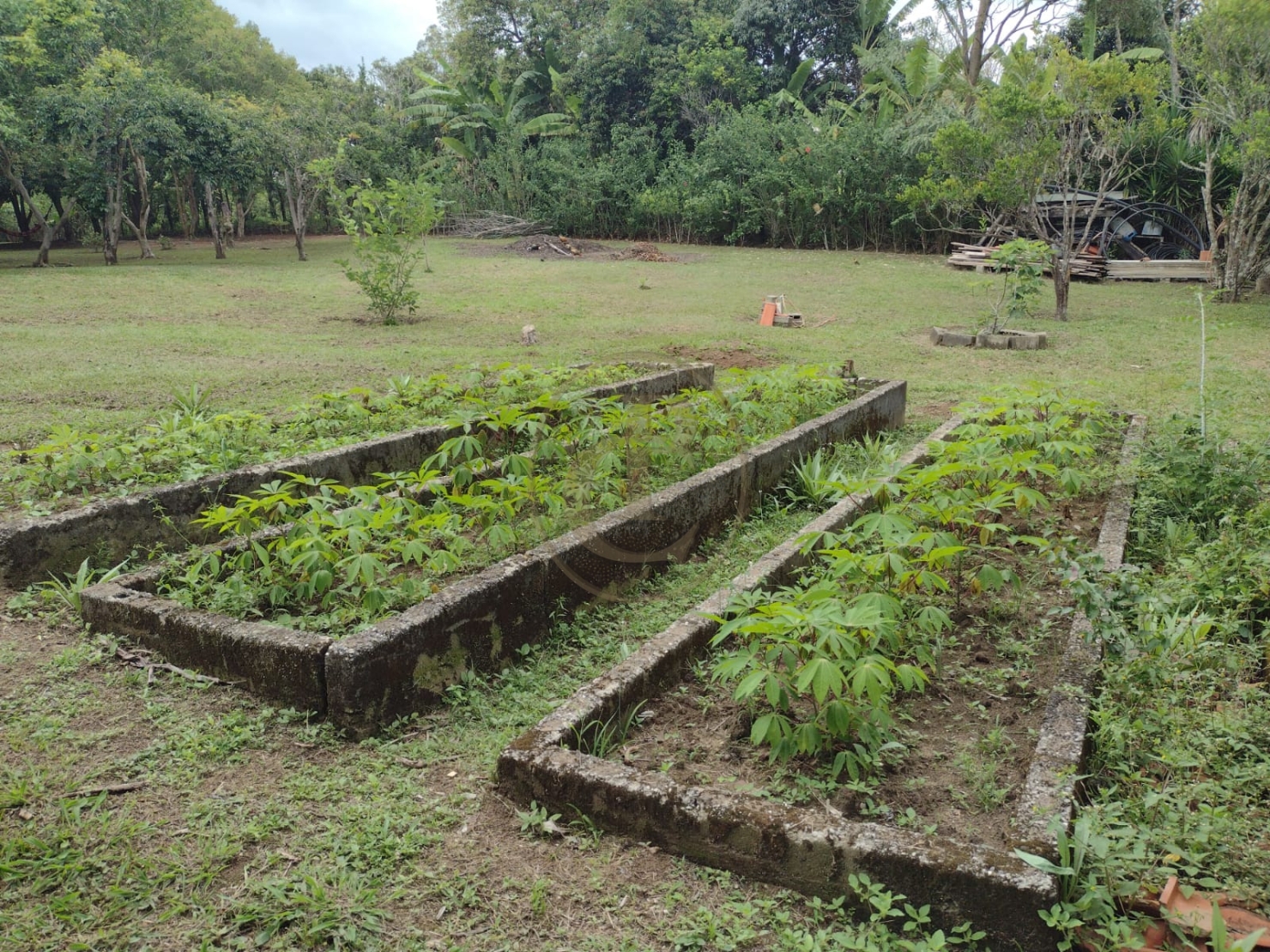 Chácara, 5 quartos, 500 m² - Foto 2