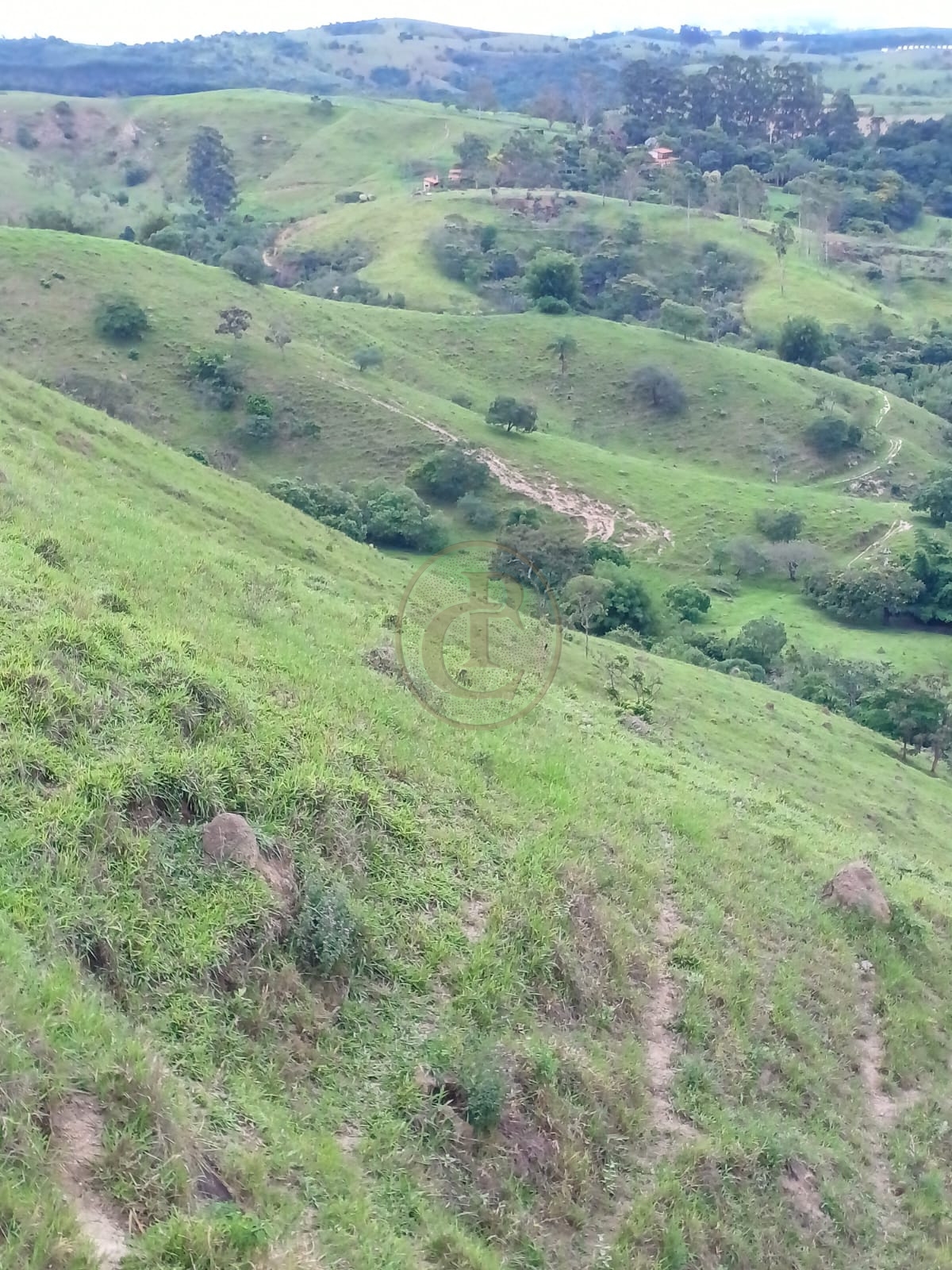 Sítio, 3 quartos, 170 m² - Foto 1