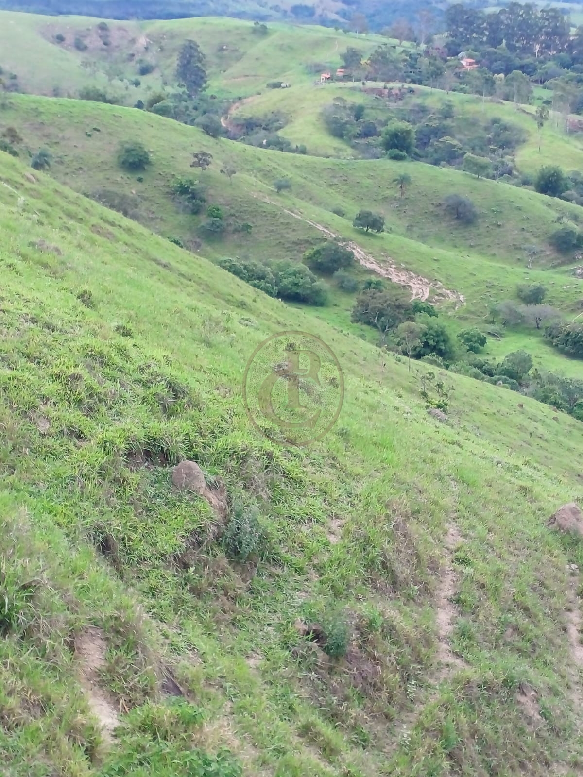 Sítio, 3 quartos, 170 m² - Foto 2