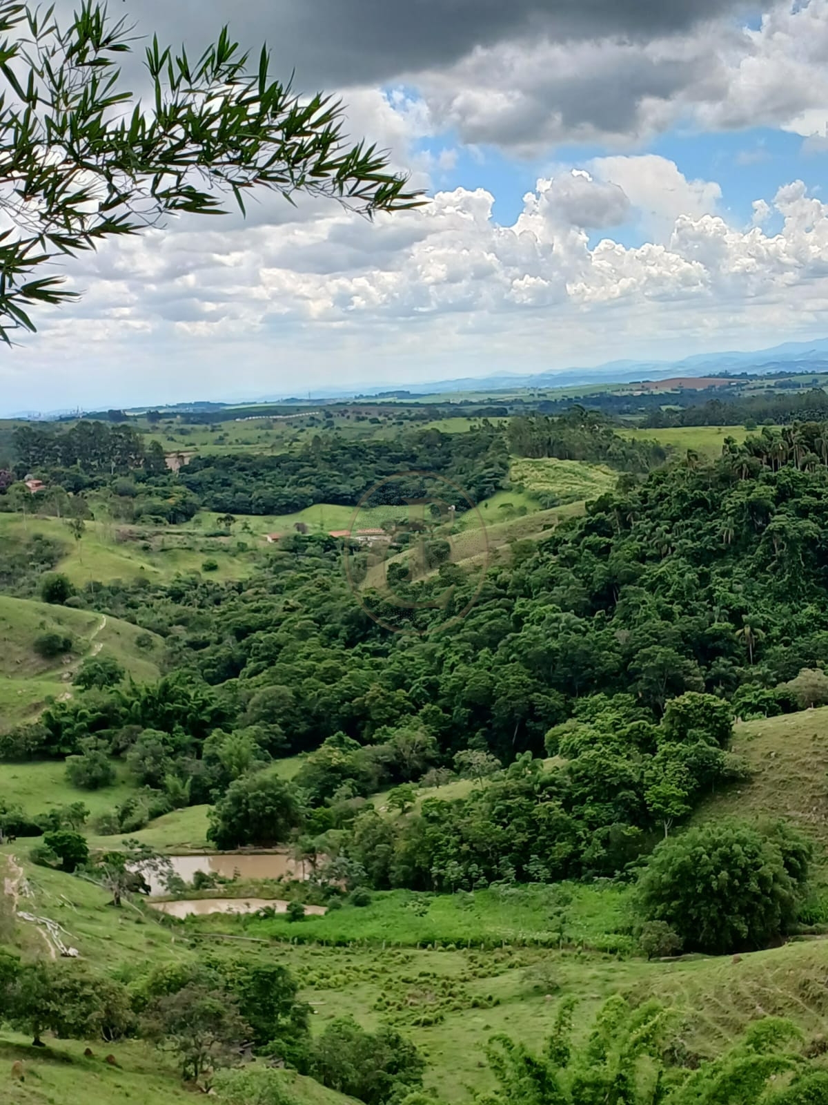 Sítio, 3 quartos, 170 m² - Foto 3