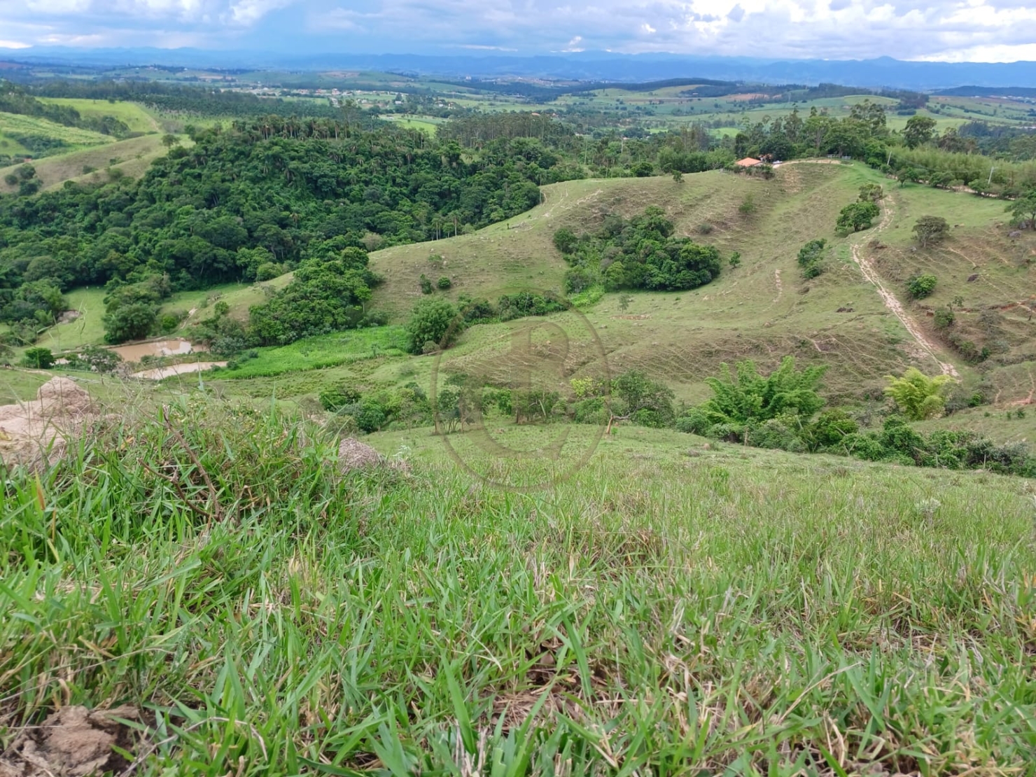 Sítio, 3 quartos, 170 m² - Foto 4