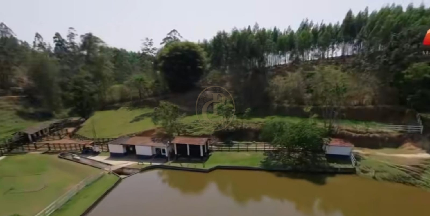 Sítio, 3 quartos, 250 m² - Foto 6