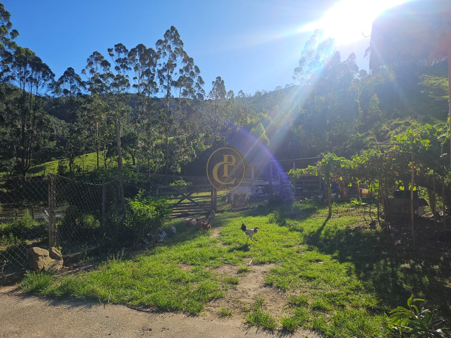 Sítio em Paraibuna/São Paulo — Ref 8MSJDA — Imagem 23