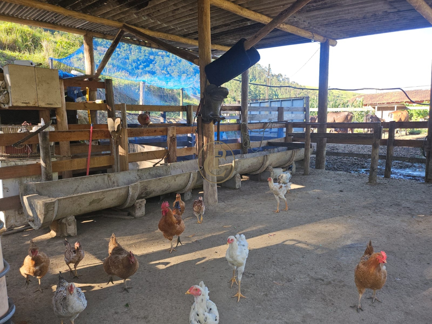 Sítio em Paraibuna/São Paulo — Ref 8MSJDA — Imagem 26