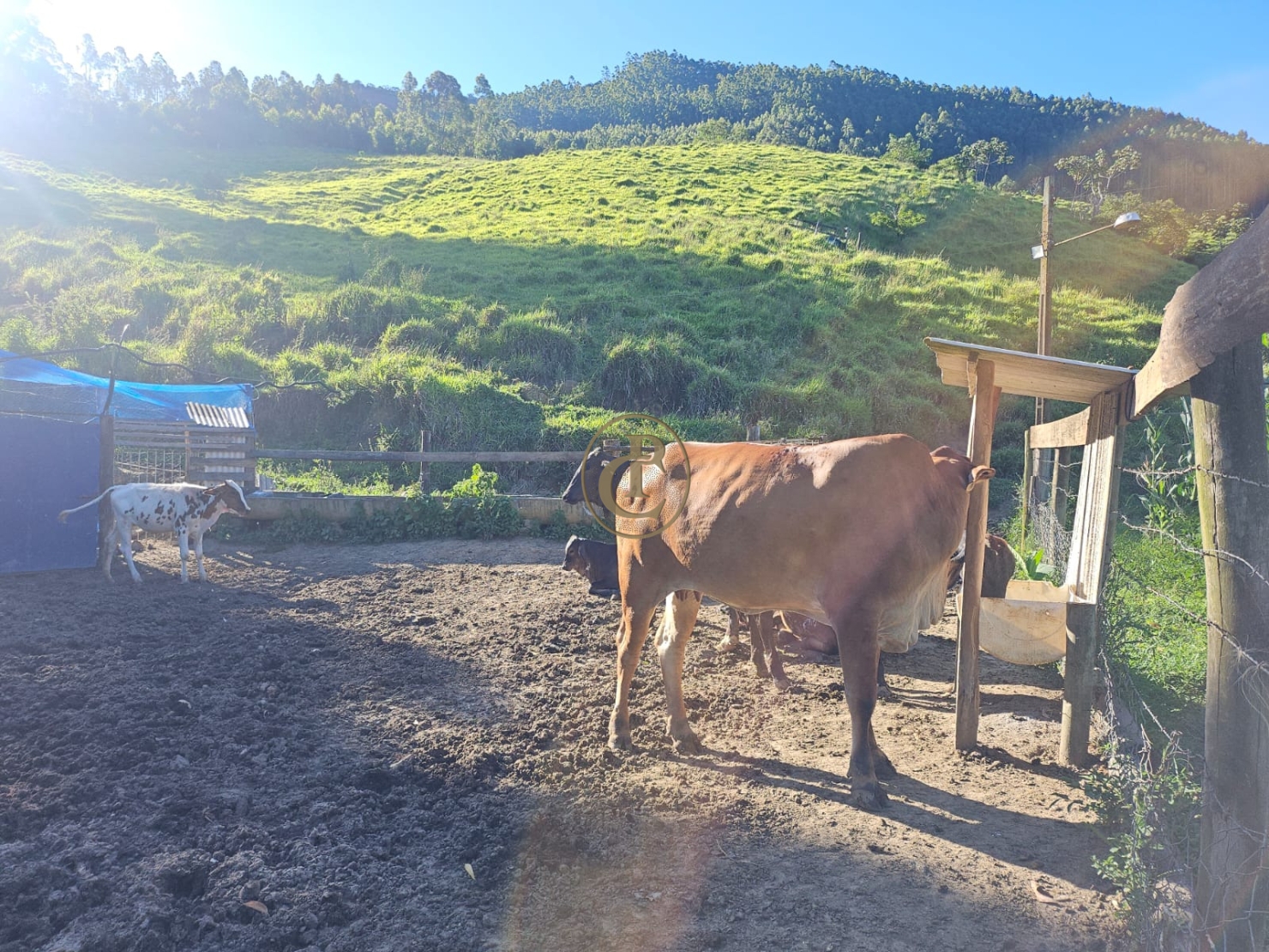 Sítio em Paraibuna/São Paulo — Ref 8MSJDA — Imagem 32