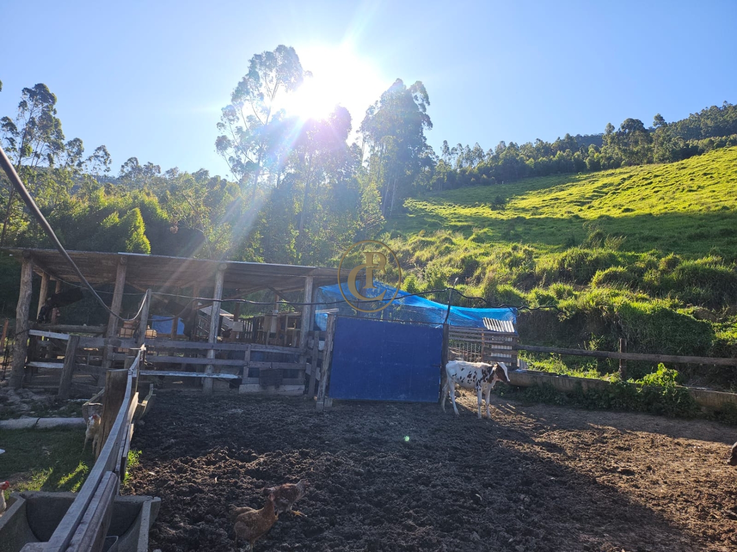 Sítio em Paraibuna/São Paulo — Ref 8MSJDA — Imagem 33