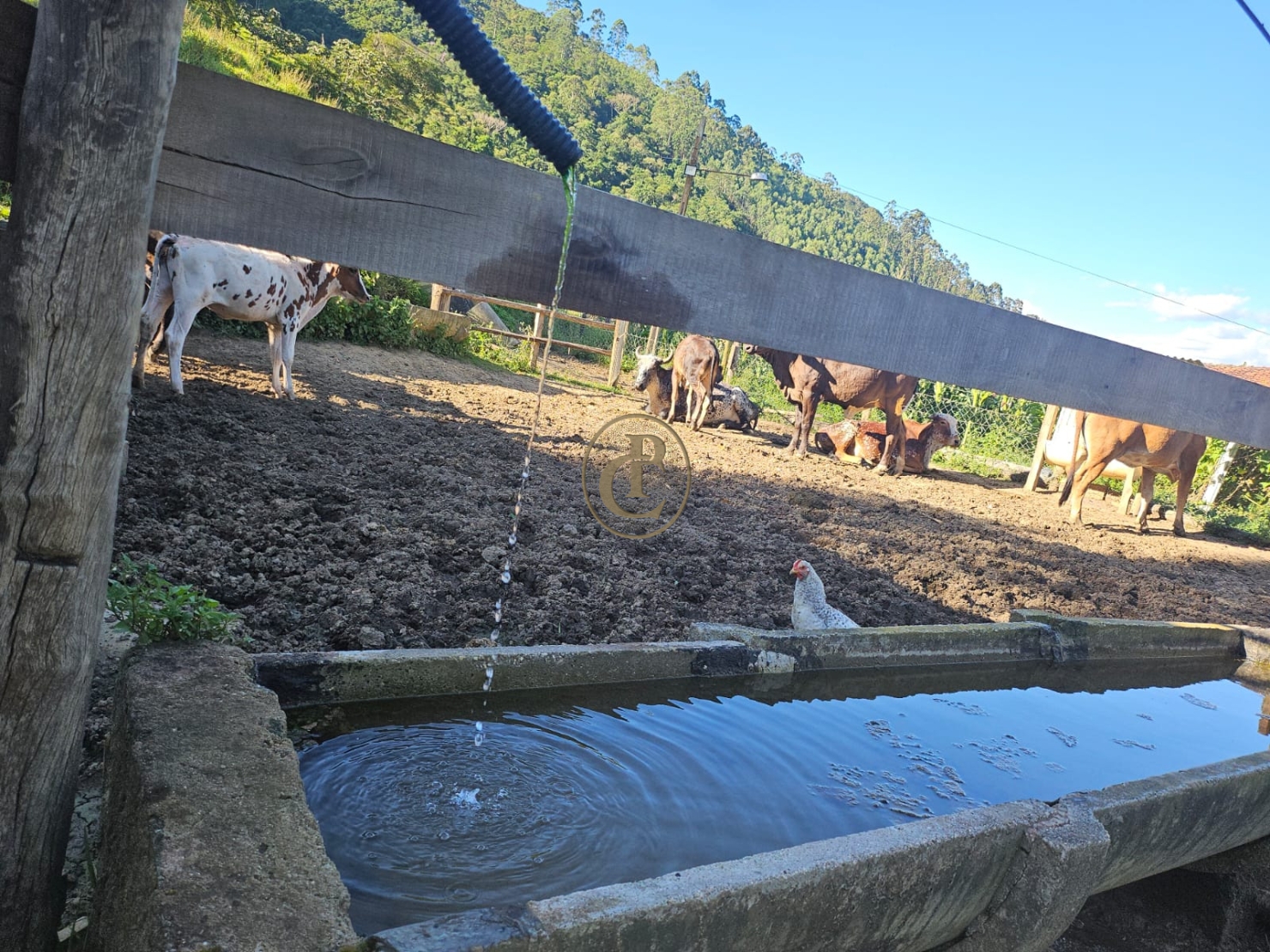 Sítio em Paraibuna/São Paulo — Ref 8MSJDA — Imagem 37