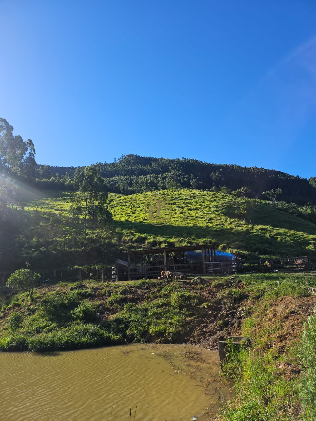 Sítio em Paraibuna/São Paulo — Ref 8MSJDA — Imagem 38